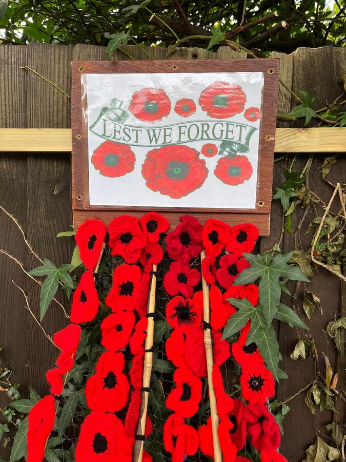 Remembrance Poppies October 2025